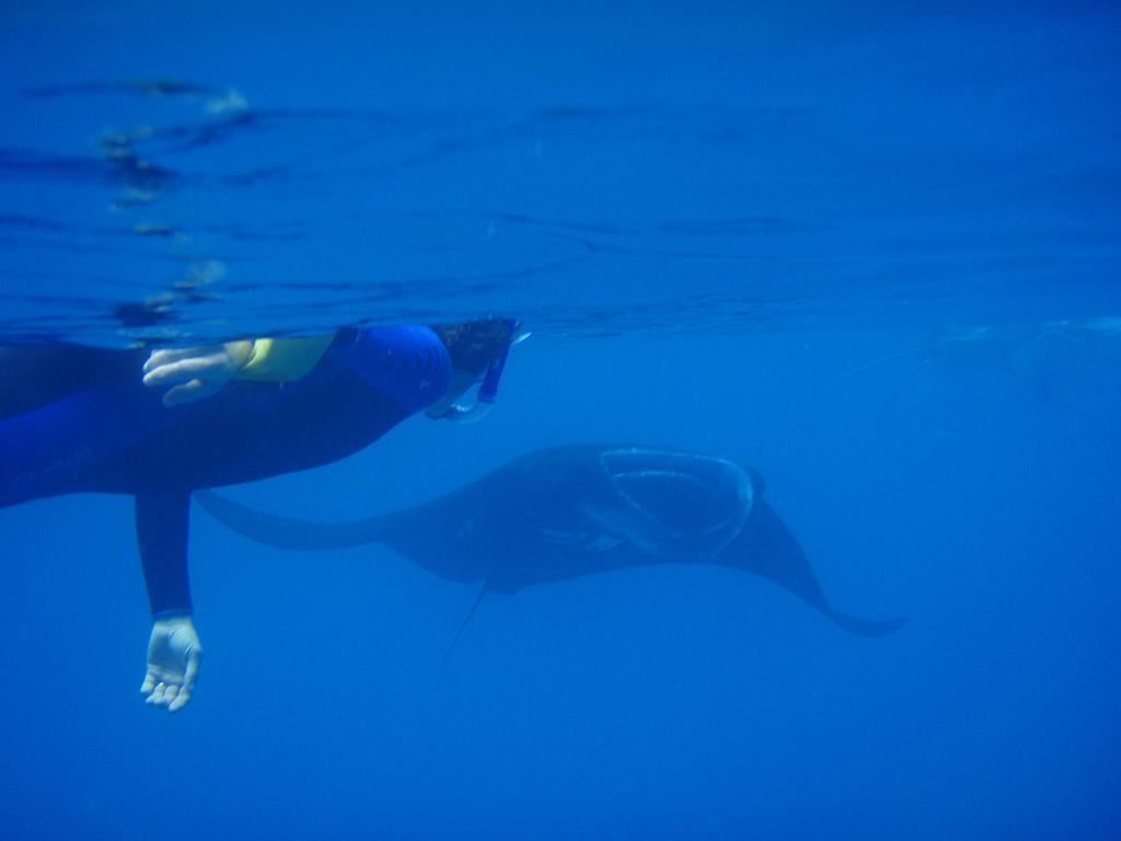 Mai Dive' Astrolabe Reef Resort Naqara Экстерьер фото