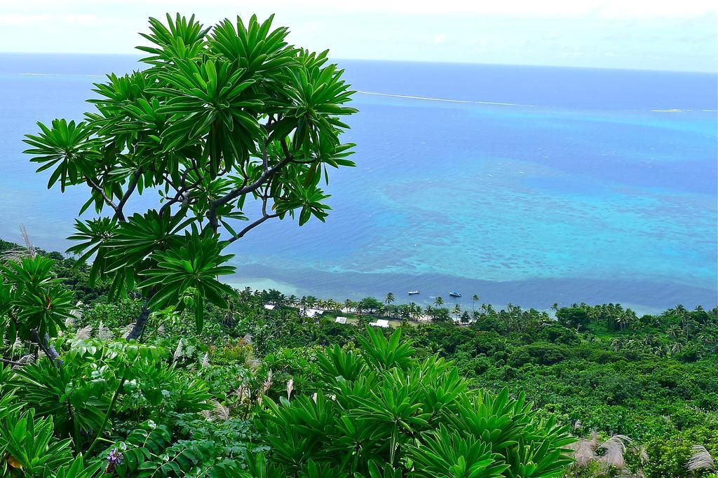Mai Dive' Astrolabe Reef Resort Naqara Номер фото