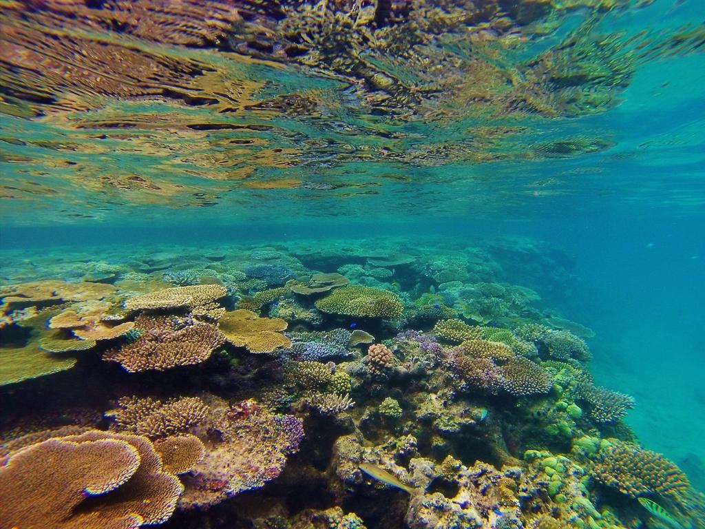 Mai Dive' Astrolabe Reef Resort Naqara Экстерьер фото