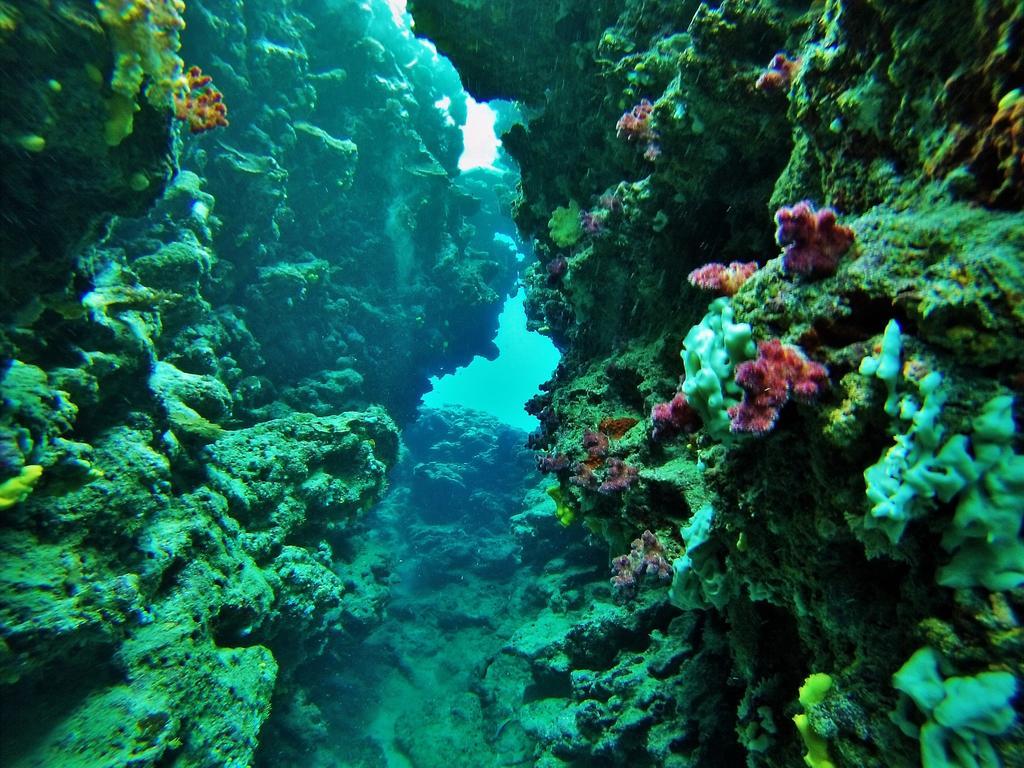 Mai Dive' Astrolabe Reef Resort Naqara Экстерьер фото