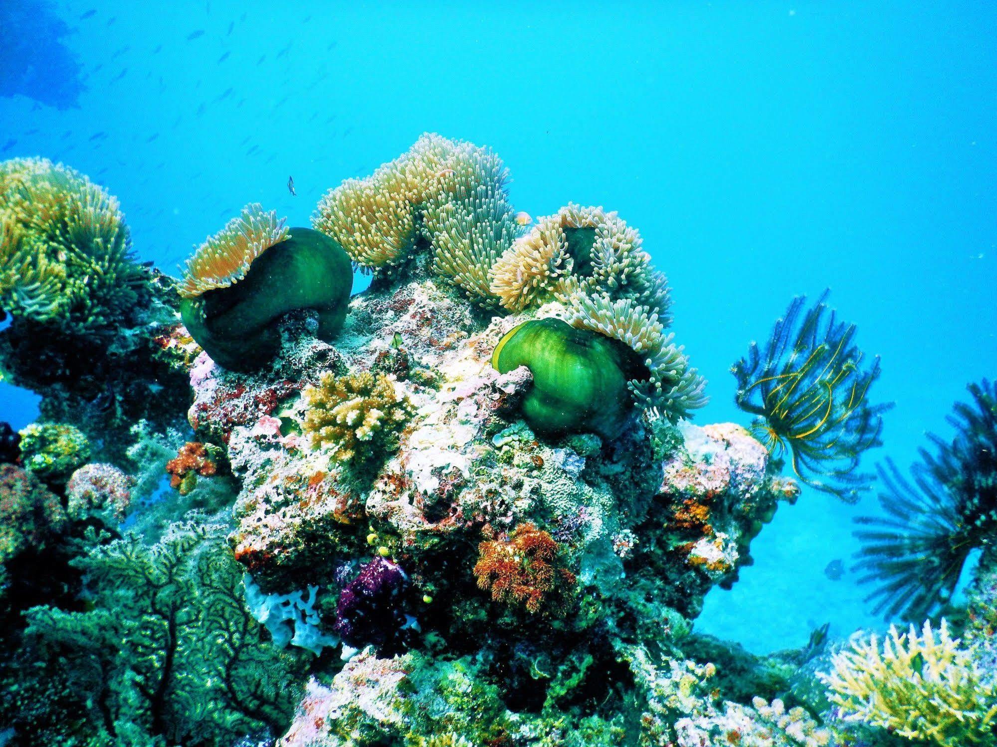 Mai Dive' Astrolabe Reef Resort Naqara Экстерьер фото