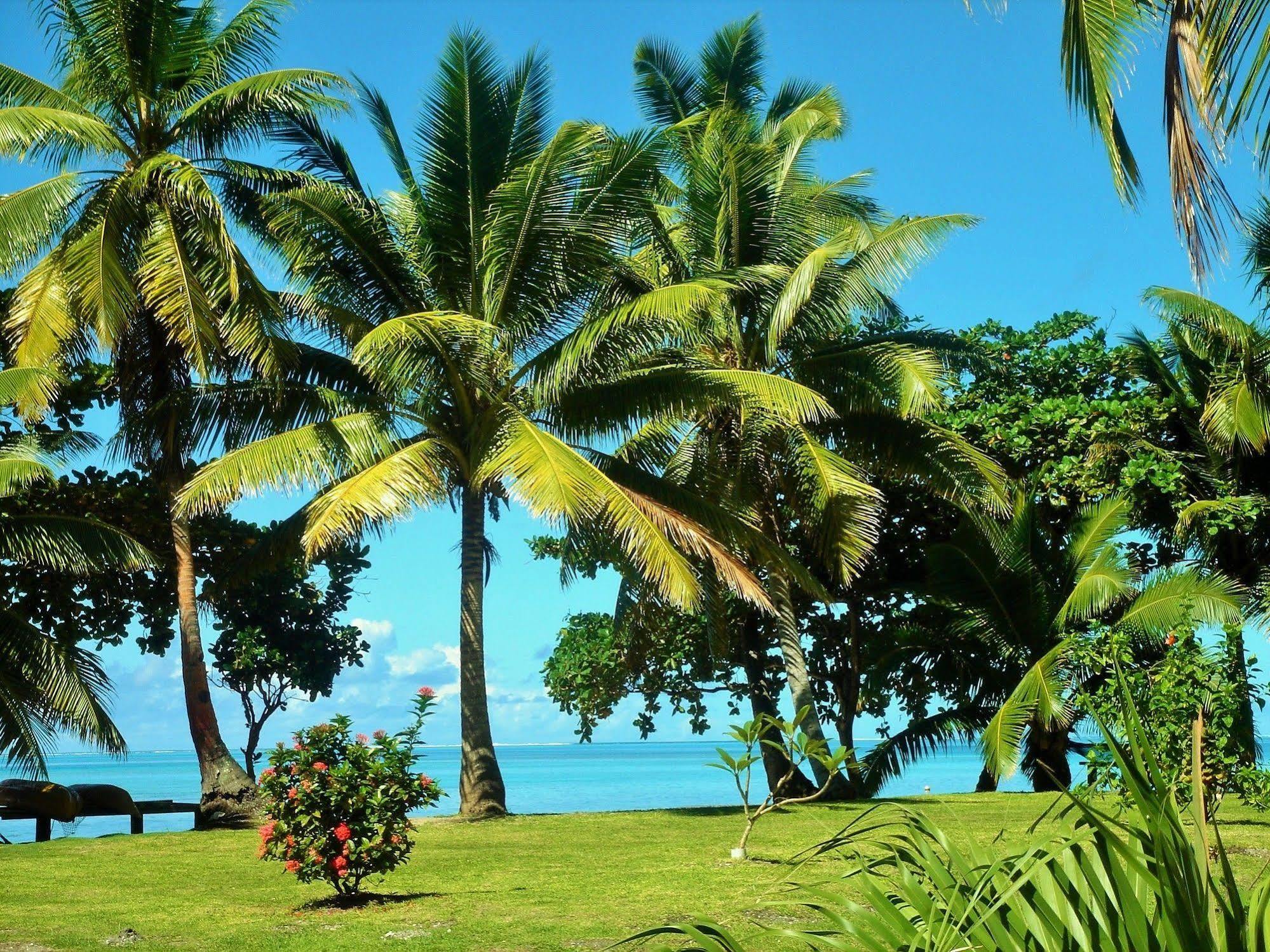 Mai Dive' Astrolabe Reef Resort Naqara Экстерьер фото